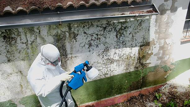 Top rated local Mold Remediation specialists in Royersford, PA